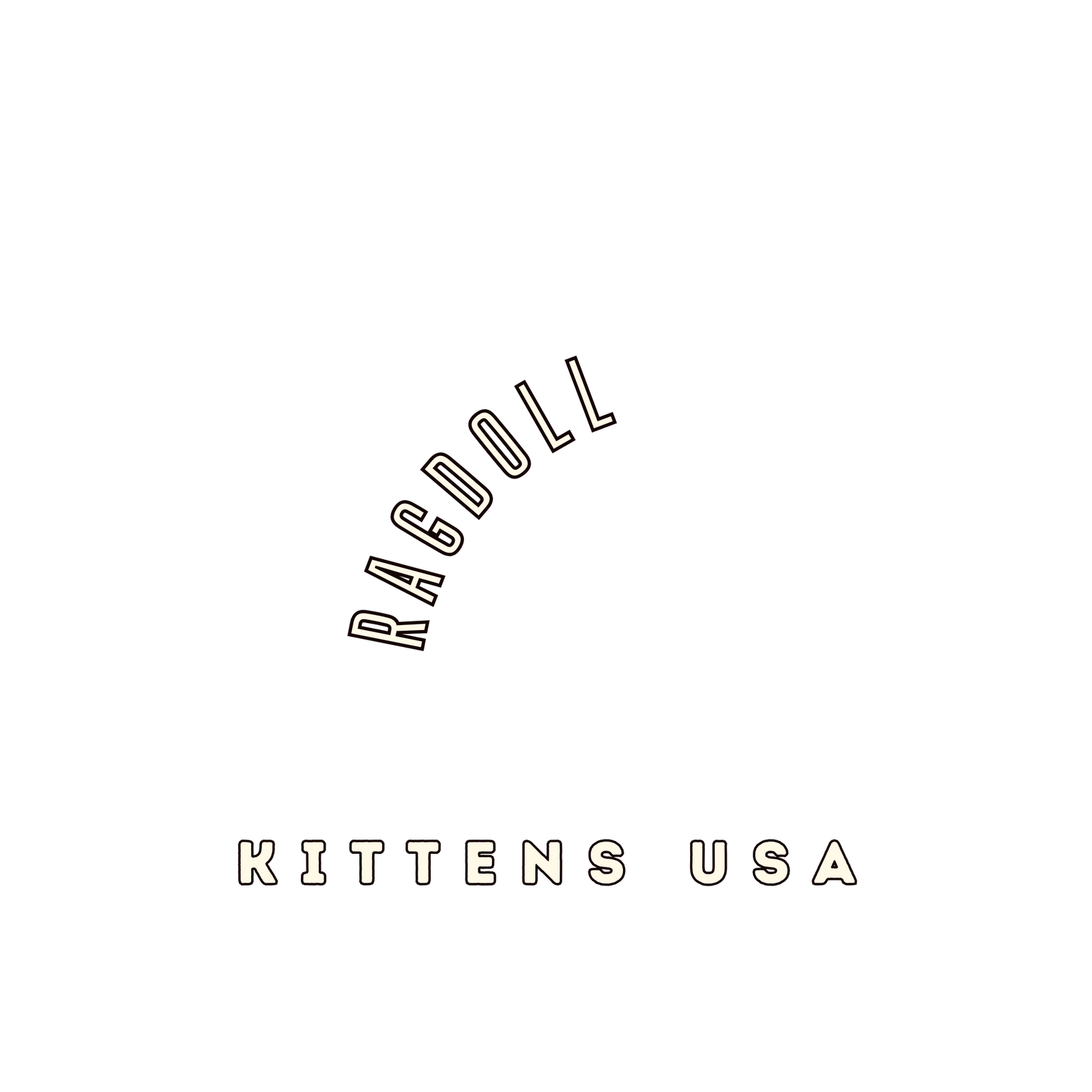 Ragdoll Kittens USA 1